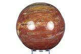 Colorful Petrified Wood (Araucaria) Sphere - Madagascar #341845-1